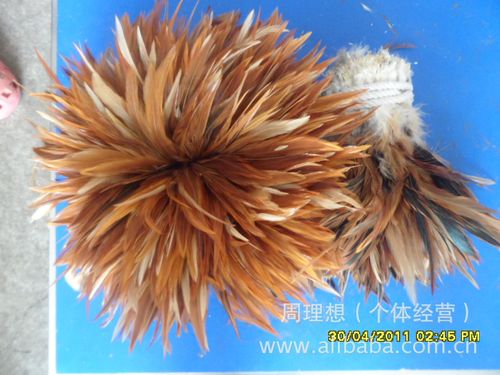 湖南厂家直销 火鸡羽毛血管绒24至810，优质羽毛（绒）的源头之选
